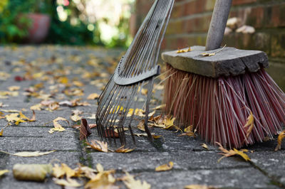 Close-up of gardening equipment with autumn leaves on footpath