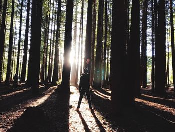 Silhouette man standing on a tree trunks in forest