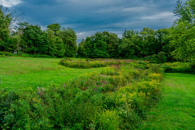 Scenic view of landscape against sky