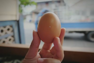 Close-up of person holding egg