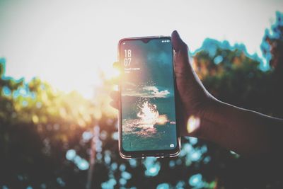 Cropped hand holding mobile phone against trees