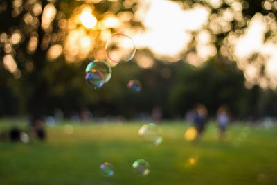 Close-up of bubbles in park