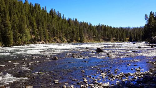 Scenic view of landscape against clear sky