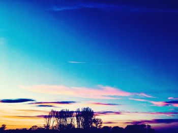 Silhouette trees against sky during sunset
