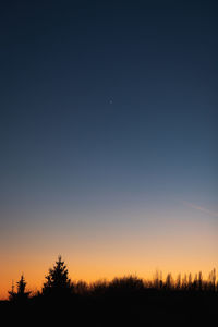 Silhouette trees against clear sky at night