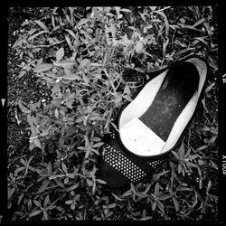 Low section of shoes on grass