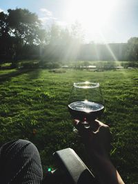 Close-up of hand holding wine on field