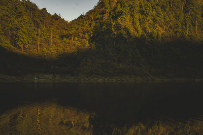 Scenic view of lake in forest during autumn