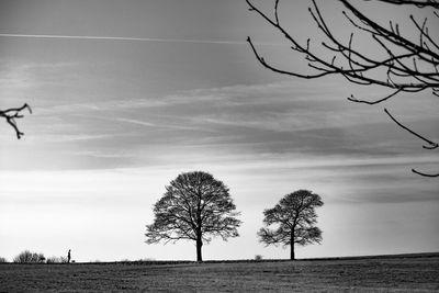 Low angle view of silhouette bare trees on field against sky