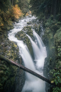 View of waterfall in forest