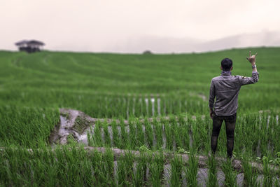 Rear view of man standing on field