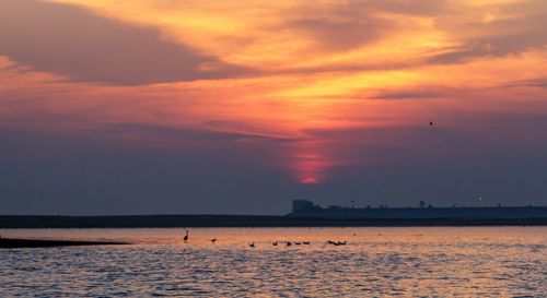 Scenic view of sea against orange sky