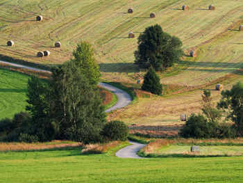 High angle view of agricultural field