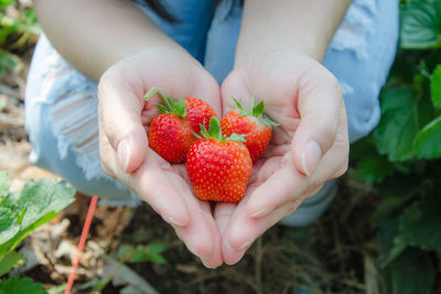 Midsection of woman holding strawberry