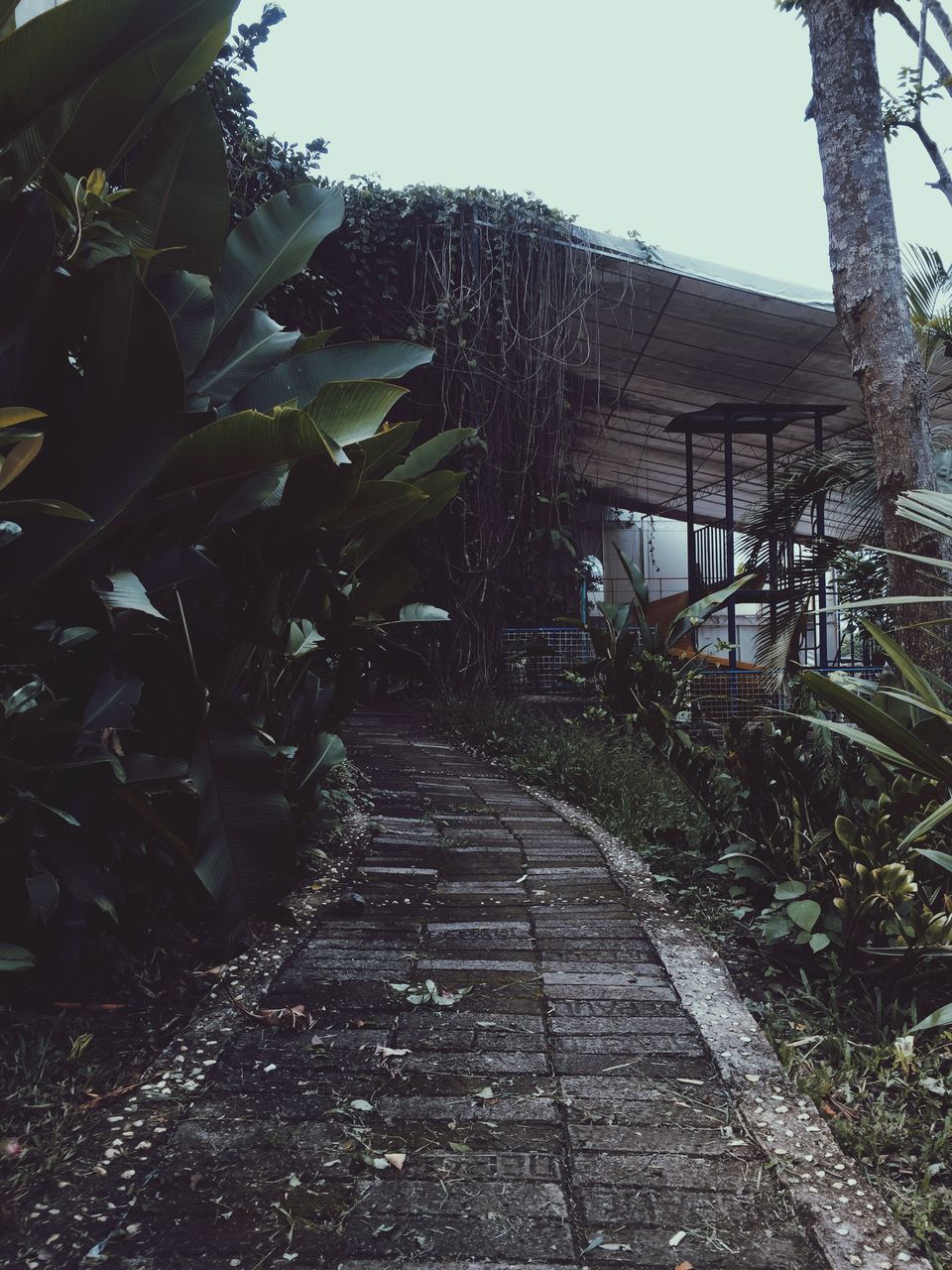 VIEW OF TREES AND BUILDING