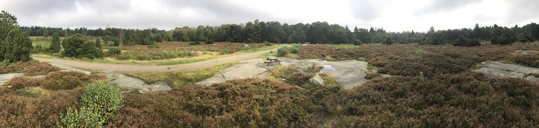 Panoramic view of agricultural field against sky