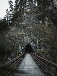 View of bridge in forest