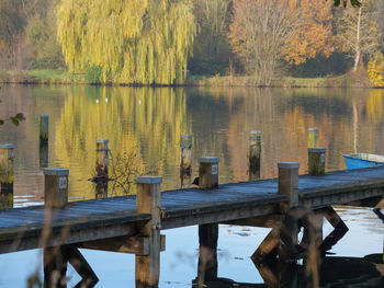 View of birds swimming in lake