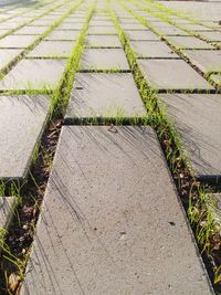 High angle view of footpath