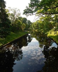 Reflection of trees in lake