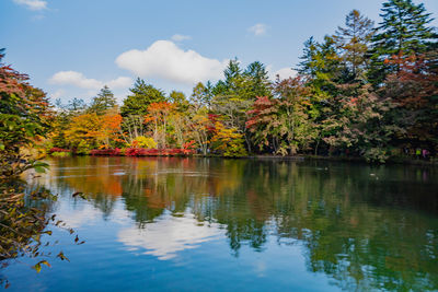 Scenic view of lake by trees against sky