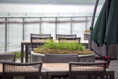 Potted grass by table at outdoor cafe