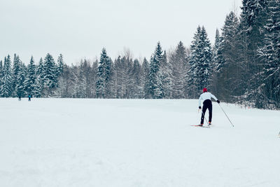 People skiing in the winter forest
