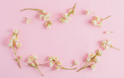 High angle view of pink flowering plant against white background