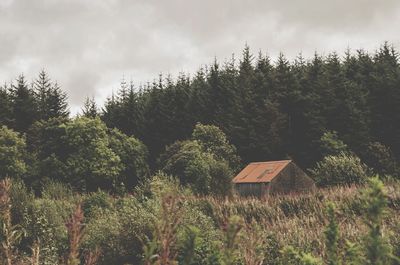 Plants and trees on landscape against sky