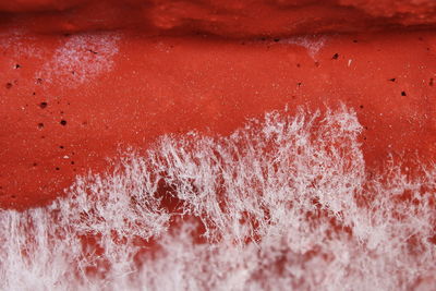 Macro shot of efflorescence on wall