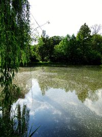 Scenic view of lake against clear sky
