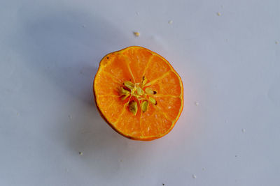 High angle view of orange slices on table