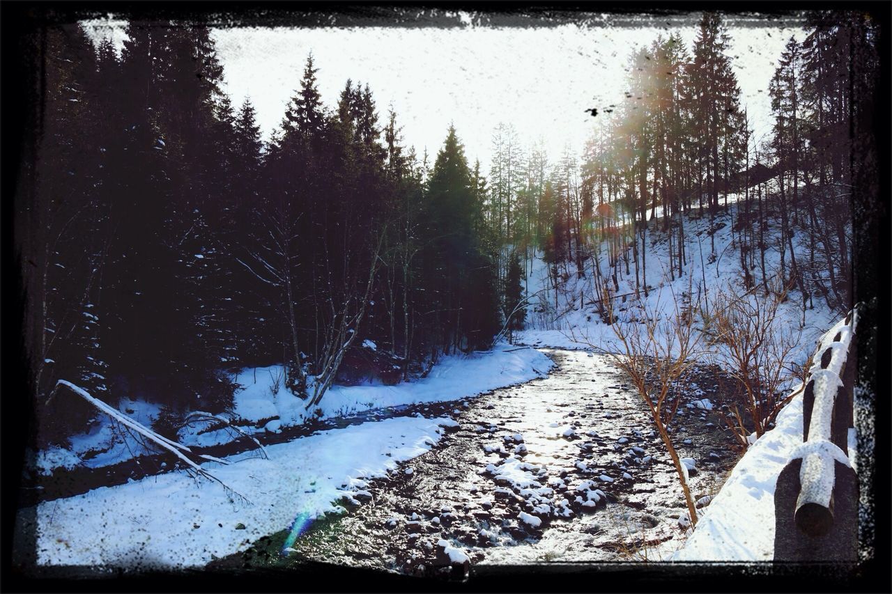 transfer print, water, tree, auto post production filter, bare tree, snow, tranquility, nature, cold temperature, winter, river, lake, reflection, tranquil scene, scenics, beauty in nature, season, day, forest, branch