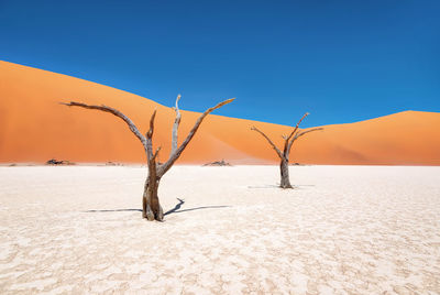 Scenic view of desert against clear sky