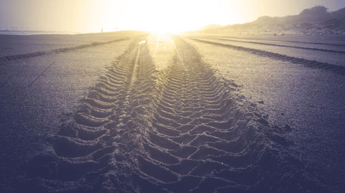 Surface level of tire tracks on road