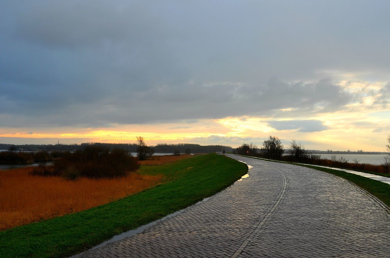 Road through nature