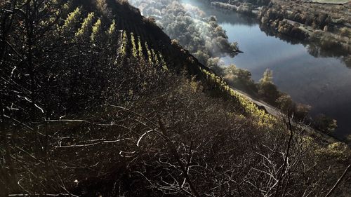 High angle view of lake amidst trees in forest