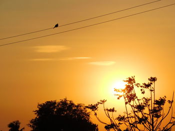 Low angle view of silhouette birds flying against orange sky