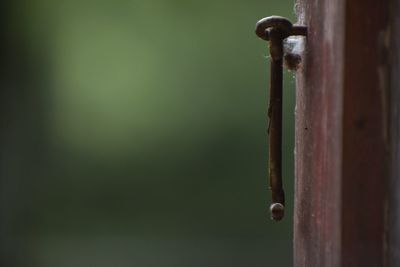 Close-up of rusty metal door