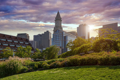 Trees and buildings against cloudy sky