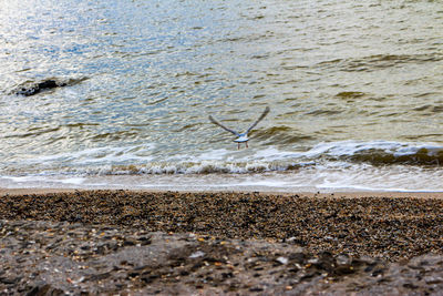 Sea waves splashing on shore