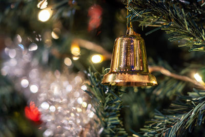 Close-up of illuminated christmas tree at night