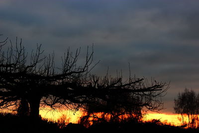 Silhouette bare tree against sky during sunset