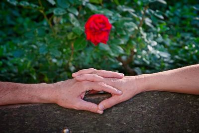 Cropped image of couple holding hands on bench in park