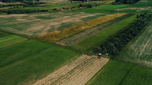 High angle view of agricultural field