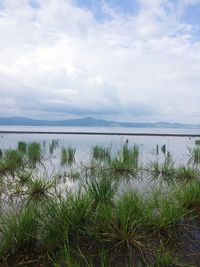 Scenic view of sea against sky