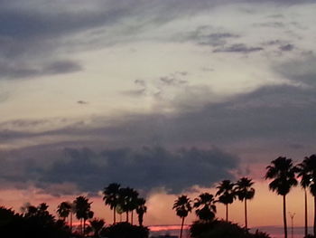 Silhouette palm trees against cloudy sky