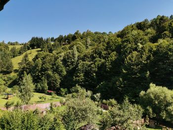 Scenic view of forest against clear sky