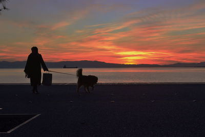 Silhouette man walking with dog on beach against sky during sunset