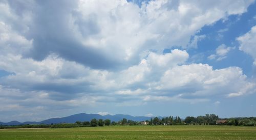 Scenic view of field against sky